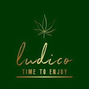Lúdico